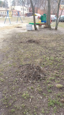 Опасные кусты.jpg